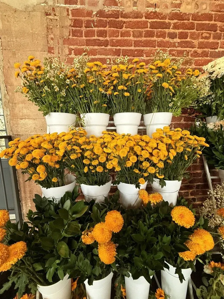 Yellow mums at a bouquet bar