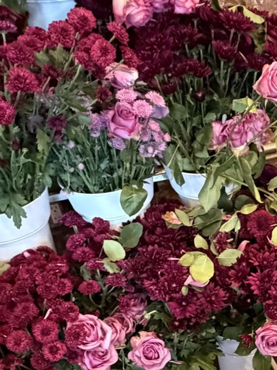 Close-up of burgundy mums and pink roses